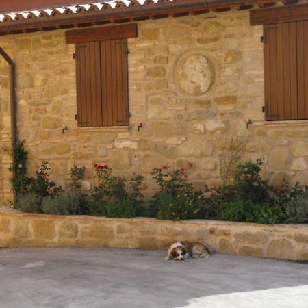 Pietra Maula Agriturismo Castelraimondo Exterior foto